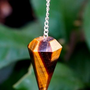 Kaplan Gözü Pandül