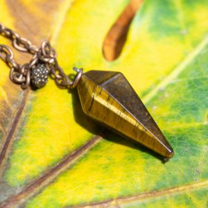 Kaplan Gözü Pandül 2